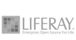 Liferay - Enterprise Open Source Portal and Collaboration Software